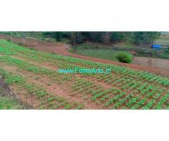 1.50 Acres Vegetable plantation for Sale at Kookal