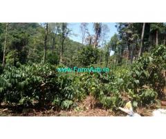 85 Acres Coffee Estate with HomeStay for Sale at Pandaravalli