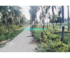 32 gunta coconut farm land just 3km from Bangalore - Mysore highway,