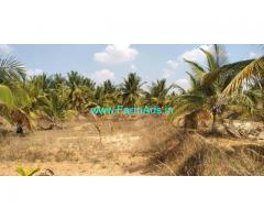 4 acres Coconut farm land for sale with  2 acre karab at Nagamangala