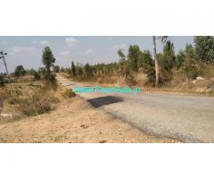 4 acres Coconut farm land for sale with  2 acre karab at Nagamangala