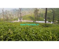 40 Acres Tea state for Sale in Ooty