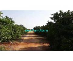 60 Acres Farm Land for Sale near Maravapalle
