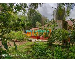 6 acre land for sale in Belman , 2 km from the Janthra Junction