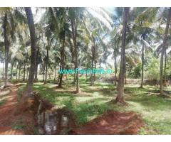 4.50 Acres Coconut Farm Land for Sale in Kozhinjampara