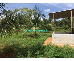 Cocunut Farm for sale, 1 Acre 32 Guntas,  in Jayapura - Hd kote route
