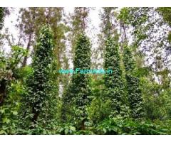 5.30 Acres Coffee Estate for Sale at Somwarpet,Coorg Kerala Bypass
