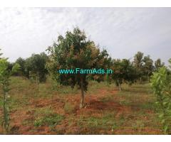 Well Developed 31 Acres Farm Land for Sale  Chandragiri