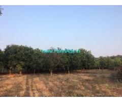4.30 Acres Agriculture Land for Sale at Jaggayyapeta,Mangollu Road