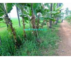 53 Cents Agriculture Land for Sale at Vadapalli