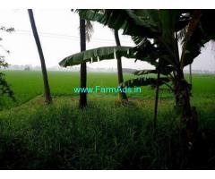 53 Cents Agriculture Land for Sale at Vadapalli