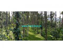 16 acres Robasta Coffee Estate For sale 45km from Mudigere