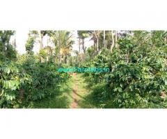 16 acres Robasta Coffee Estate For sale 45km from Mudigere