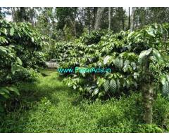 10 acre Robastaa coffee estate for sale, 14km from Mudigere