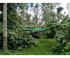 10 acre Robastaa coffee estate for sale, 14km from Mudigere