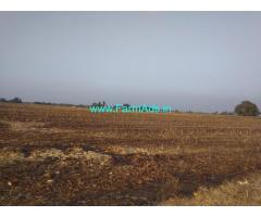 27 Acres Agriculture Land for Sale Near Bidanal