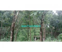 59 Cents Rubber Farm land Sale at Chithara
