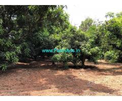 6 Acres of Highly Fertile Agri Land is available for sale near Rajapalayam