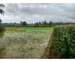 3.17 Acres Agriculture Land for Sale near Chikkanahalli,Hemavathi Canal