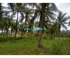 3.17 Acres Agriculture Land for Sale near Chikkanahalli,Hemavathi Canal