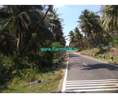 3 Acres Well Maintained Coconut Farm for Sale at Pollachi