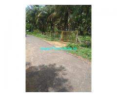 4.20 Acres Coconut  farm for sale at  meenakshipuram to sarkarpathi route
