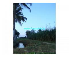12 Gunta Agriculture Land for Sale in Srirangapatna,Amblee resort