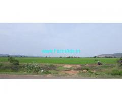 1.50 Acres Agriculture Land for Sale Near Pedda Cheruvu