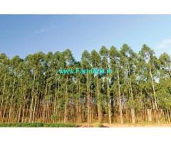 10 Acres Agriculture Land for Sale near Chilla Manu chenu,NH5