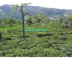 25 Acres Tea Estate for Sale near Ooty