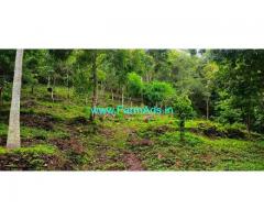 2.25 Acres Agriculture Land for Sale at Attapady