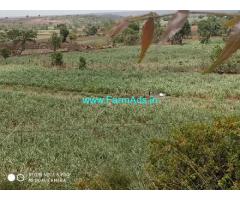 22 Acres Agriculture Land for Sale near Zahirabad