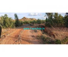 1.10 Acres Agriculture Land for Sale in Vemagal