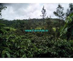 3 acre river touch Coffee Estate for sale, 18 km from  mudigere