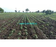 7 Acres Agriculture Land for sale at Pargi,Shadnagar Pargi Highway