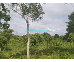Agriculture land for sale at Mysore. 21 KMS from ring Road