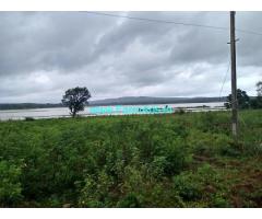 12 Acres 35 Guntas Farm Land for Sale near Shimoga