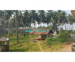 5.50 Acres Agriculture Land for Sale near Pollachi,Coimbatore Main Road