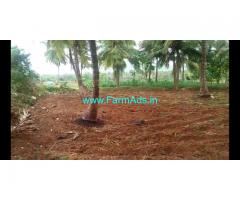 1.5 Acres Coconut farm for sale at Halgooru, Channapatna