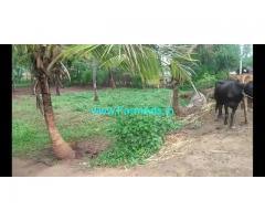 1.5 Acres Coconut farm for sale at Halgooru, Channapatna