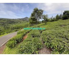 1 Acre 50 Cents Tea Estate for Sale near Ooty