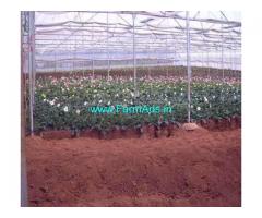 30 Acres Tea Estate with British Bungalow For Sale at Coonoor