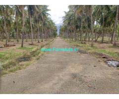10890 sq ft Coconut Farm Sale near Theni, Vpr College