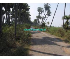 550 Cents Agriculture Land for Sale near Tiruvannamalai