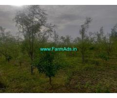 6.50 Acres Agriculture Land for Sale near Nanjangud