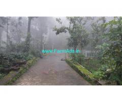 2 acre well maintained coffee estate with homestay for sale