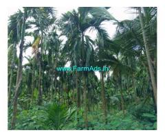 21.7 Acres Agriculture Land for Sale near Udupi