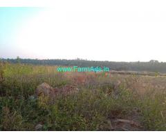 95 Gunte Agriculture Land for Sale near Channarayapatna