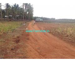2.42 Acres Agriculture Land for Sale near Udumalpet,Pollachi Road