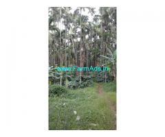 12 Acres Agriculture Land for Sale near N.R.Pura